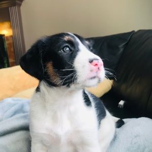 Meet your Posher, Maretta